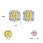 Boucles-doreilles-en-argent-sterling-S925-carrees-micro-incruste.SE0345-1-demo-04-2.jpg
