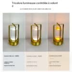 Lampe de table décorative tactile rechargeable 22786703950-03