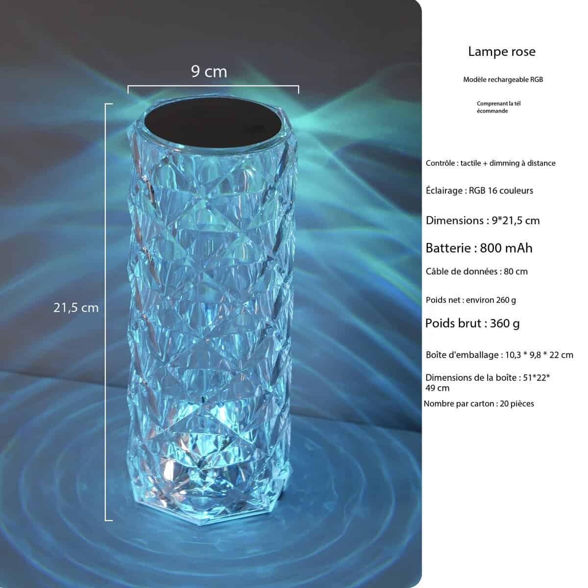 Lampe décorative LED rose cristal, rechargeable 20220307 Demo 01