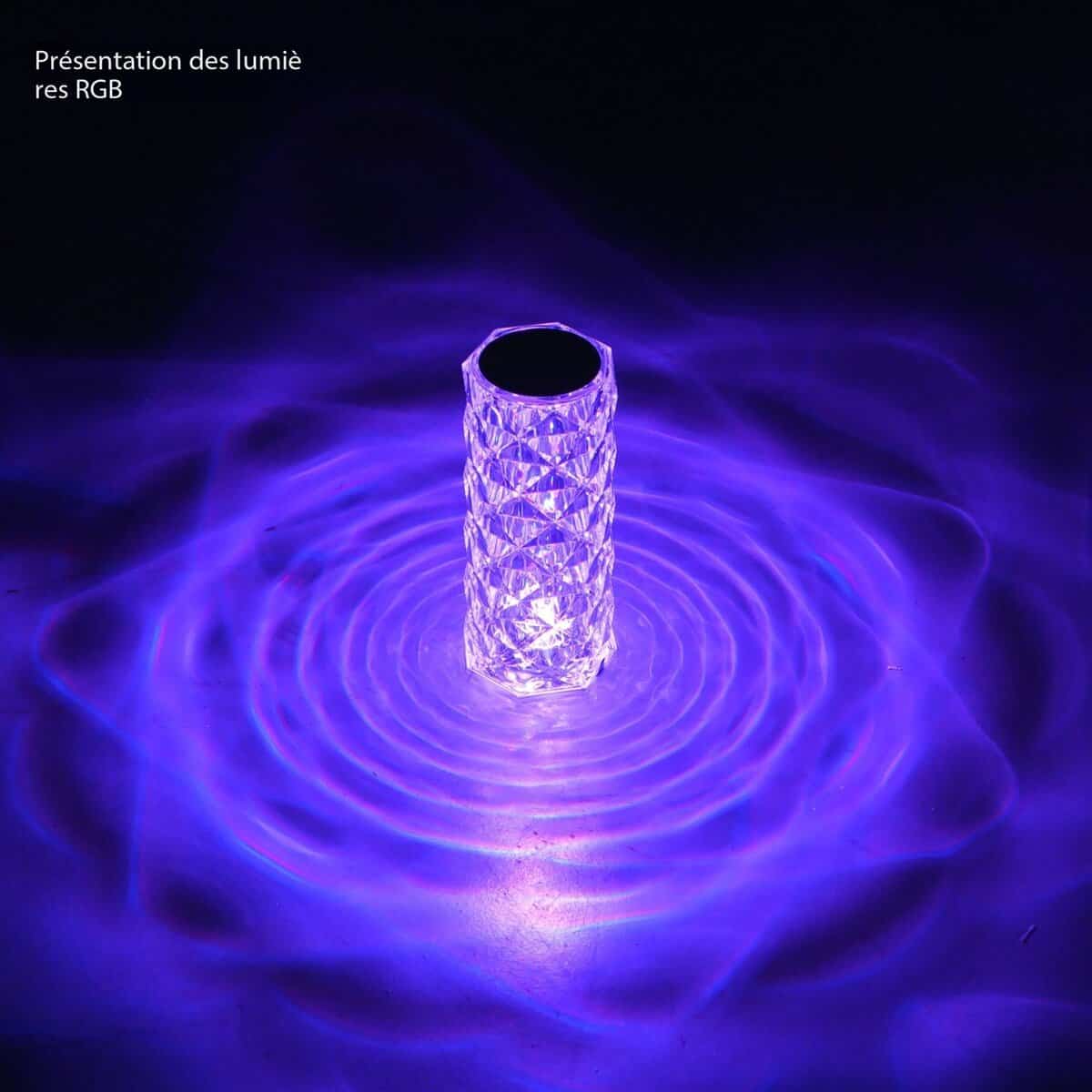 Lampe décorative LED rose cristal, rechargeable 20220307 Demo 07