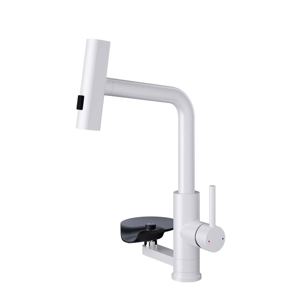 Robinet de cuisine Raindry en acier inoxydable 304 S3149-5-6