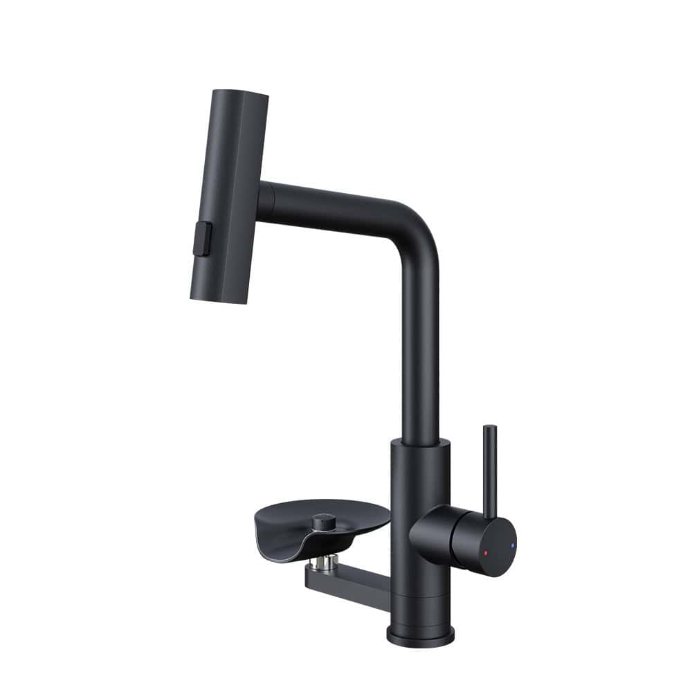 Robinet de cuisine Raindry en acier inoxydable 304 S3149-5-8