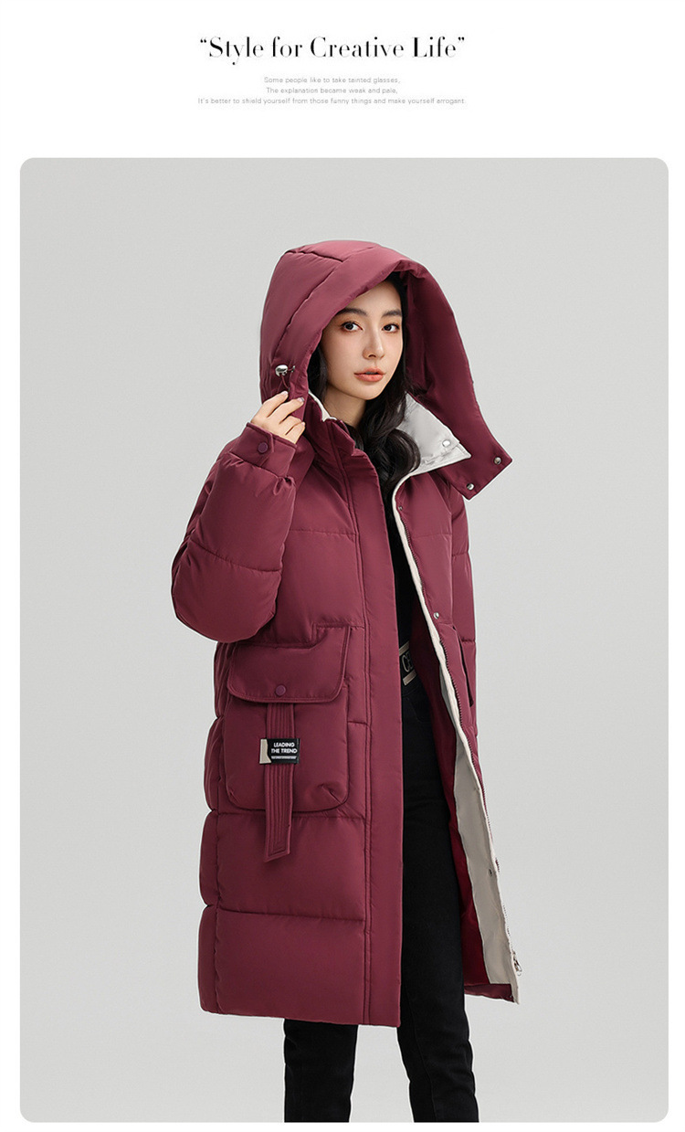 Veste hiver femmes, avec capuche, chaude épaissie 866QC Demo n013